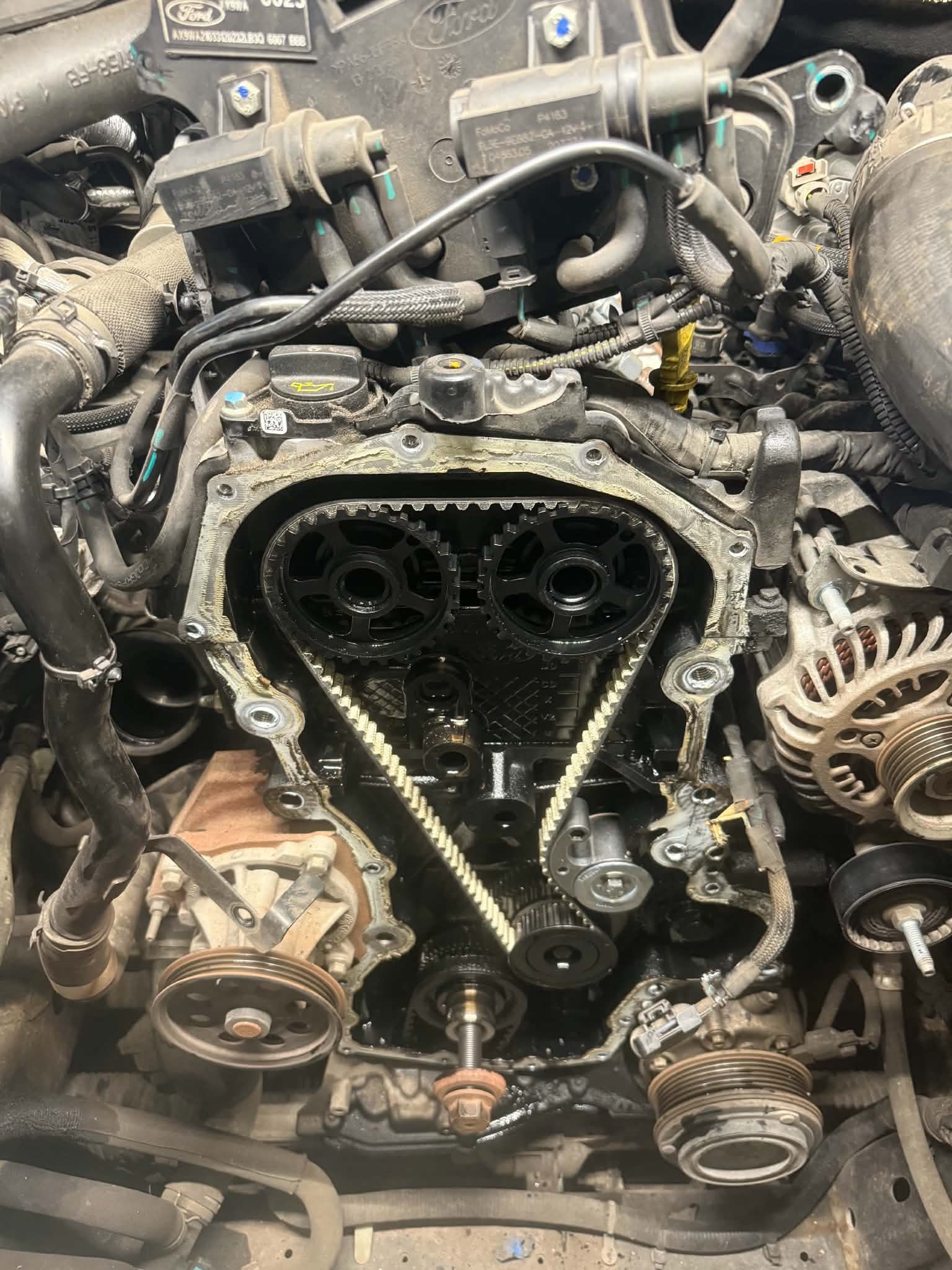 Timing belt and camshaft pulleys exposed during a belt replacement